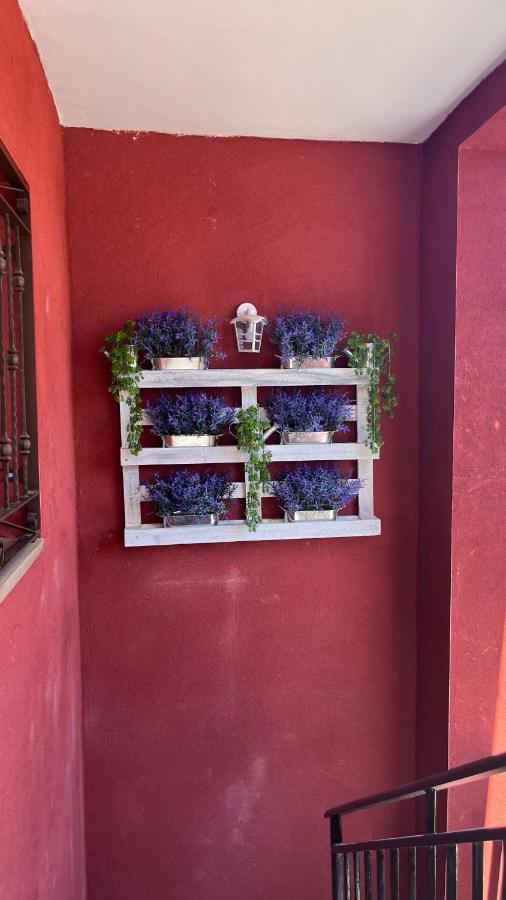Apartamento Praderas Pantano San Juan Primera Planta Pelayos de la Presa Exterior foto
